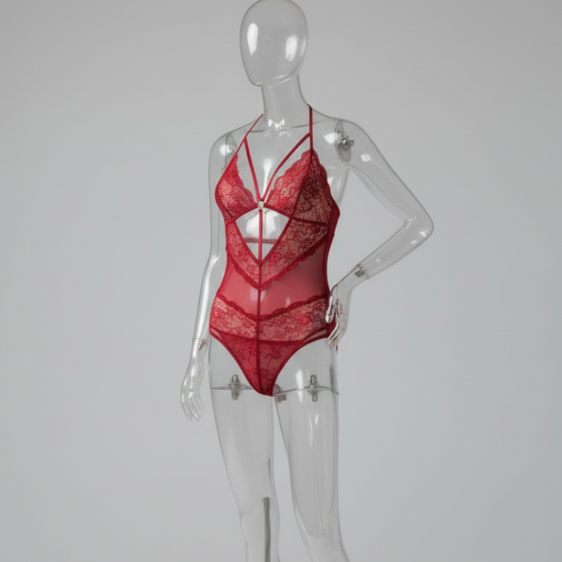 Intimate See-Through Lingerie